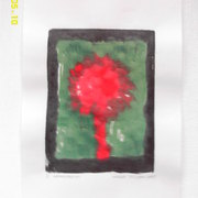 Imag0233_card