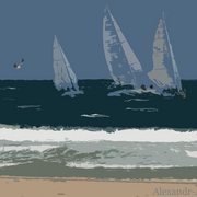 Sail-4-alexandr-az_card