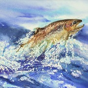 439jw_card