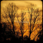 1106573-2-sunrise-sunset_watermark_card