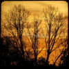 1106573-2-sunrise-sunset_watermark_thumb