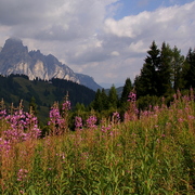 Imgp5597_card