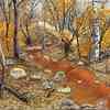 Backwoods_path_reduced_pixels_thumb