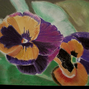 Pansies_copy_card