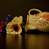 Dsc02454_thumb