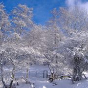 Dscf7661_card