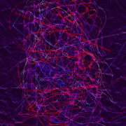 120104a2_card
