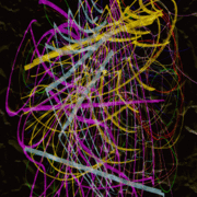 120113c_card