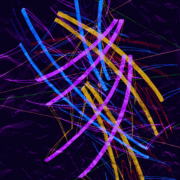 120113d_card
