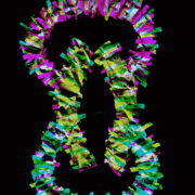120118a_card