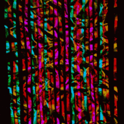 120119a_card