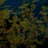 ____n__-herbalife_026_thumb