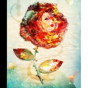 Rose__11__-_resize_card