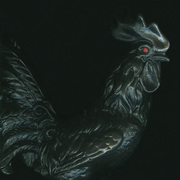 Cock_card