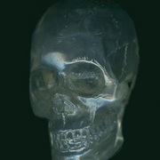 Skull_card