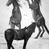 Three_horses_copy_thumb