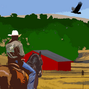 D415f134_card