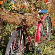Flower_bike_card