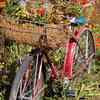 Flower_bike_thumb