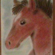 Horse_card
