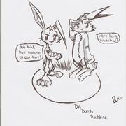 Da_dumb_rabbits_001_card