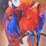 Picture_013_card