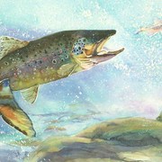 448_jw_card
