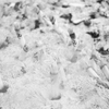 000010_thumb
