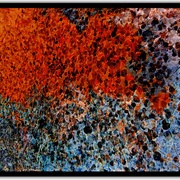 Untitled-1_card