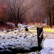 Dscf2465_card