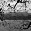 Imgp7169_thumb