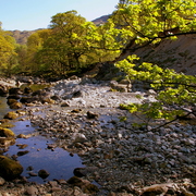 Imgp6901_card