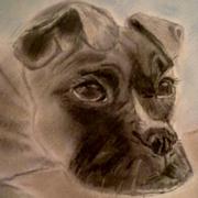 Boxer_1__2__card