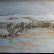 Seagull_lake_streaky_bay_card