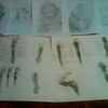 Img00256-20111016-1833_1__thumb