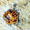 S5000056_thumb