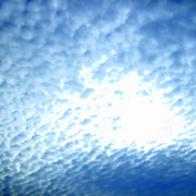 S5000036_card