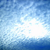 S5000036_thumb