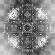9b5c2e193ad80c754c21ef7286e87e07-d4awosa_card