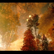 Untitled-11_card