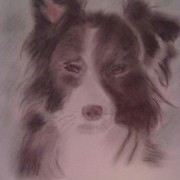 Dog__2__card