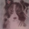 Dog__2__thumb