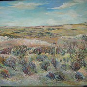Scales_bay_south_australia