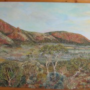 Gawler_ranges_south_australia__old_paney_scrubby_paek