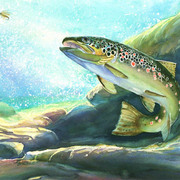 451_jw_card