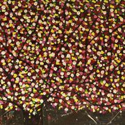 Cherry_tree_card