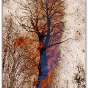 Untijtled-1_card