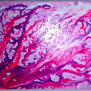 Imag1981_card