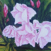 05_card