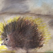 Frenchy_the____hedgehog________cm
